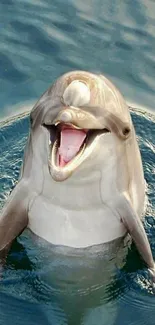 Smiling dolphin in blue water mobile wallpaper.