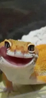 Smiling gecko with vibrant orange scales.