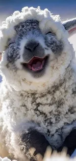 Fluffy sheep smiling in the snow in a serene winter landscape.