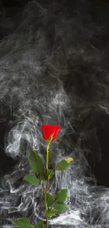 Red rose with swirling white smoke on dark background wallpaper.