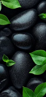 Smooth black stones with vibrant green leaves on mobile wallpaper.