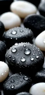 Smooth black and white stones with water droplets for a serene wallpaper.