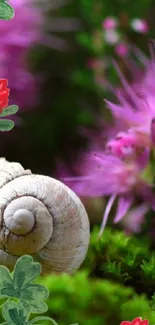 Snail on green moss with purple flowers wallpaper.