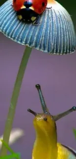 Snail and ladybug on a mushroom with a lavender background.