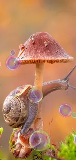 Snail atop a mushroom with colorful bubbles around.