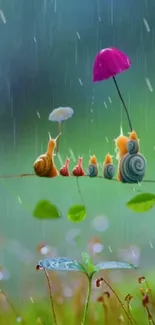 A family of cute snails on a branch during a rainy day.