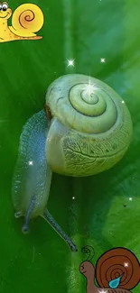 Snail Leaf Botany Live Wallpaper