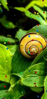 Snail on a green leaf with colorful confetti.