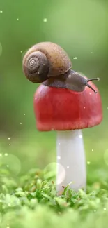 A snail resting on a red mushroom with green background.