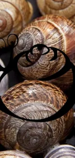 Artistic snail shells in rich earthy tones on mobile wallpaper.