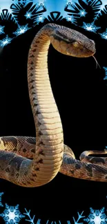 Snake with blue snowflakes on a dark wallpaper.