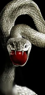 Snake Mouth Reptile Live Wallpaper