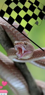 Snake wrapped around branch with colorful checkered flag and small house icon.