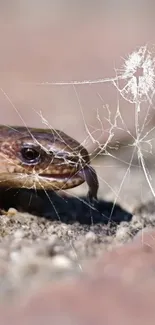 Close-up of a snake behind cracked glass effect on a mobile wallpaper.