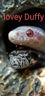 Two snakes peeking from a textured tree hollow with a natural backdrop.