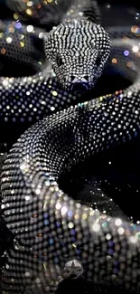 Snakes Scaled Reptiles Serpent Live Wallpaper