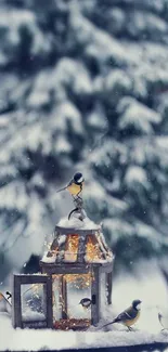 Snow Bird Freezing Live Wallpaper