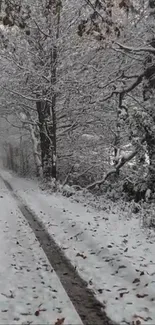 Snow-covered forest path for mobile wallpaper.