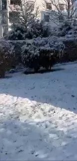 Serene winter scene with snow-covered garden.