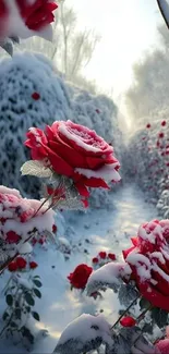 Snow-covered roses with a serene winter garden background.