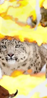 Snow leopard surrounded by autumn leaves.