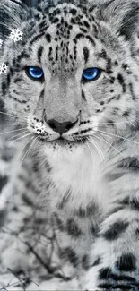 Snow leopard with striking blue eyes in a monochrome mobile wallpaper.