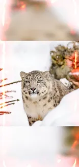 Snow leopard in a snowy and fiery landscape.