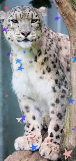 Snow leopard perched on a tree in a tranquil pose.