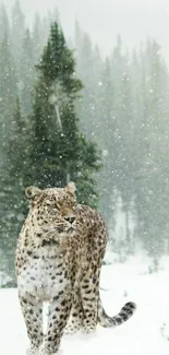 Snow leopard walking in snowy forest under a gentle snowfall.