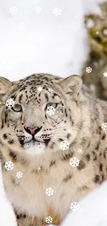 Snow leopard in a serene winter landscape with snowy backdrop.