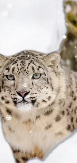 Majestic snow leopard with snowflakes in a winter scene.