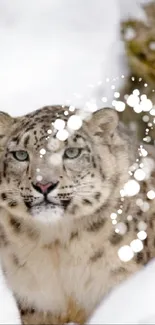 A snow leopard sits calmly in a snowy landscape, surrounded by snowflakes.