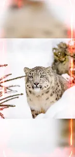 Snow leopard in snowy landscape with tree and warm light accents.