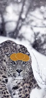 Snow leopard in a snowy winter landscape with serene surroundings.