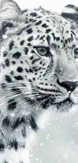 Majestic snow leopard portrait in a snowy landscape background.