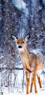 A brown deer stands calmly in a snowy forest, capturing the essence of winter.