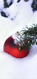 Snow Plant Branch Live Wallpaper