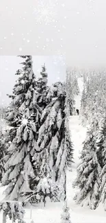 Snowy forest landscape with snowflakes falling, creating a winter wonderland.