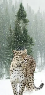 Snow Tree Carnivore Live Wallpaper