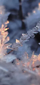 Snow Twig Freezing Live Wallpaper