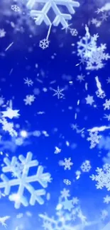 Blue background with floating snowflakes.