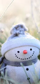 Cute snowman in a field of frosty grass.