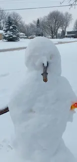 Charming snowman in a serene winter setting with snowy background.