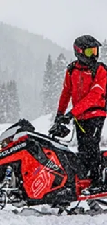 Snowmobile rider in red on snowy mountain landscape.