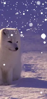 Arctic fox sitting in snow with falling snowflakes.