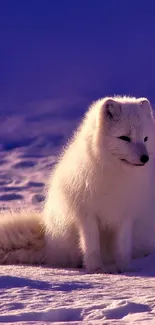 Serene snowy scene with a sitting Arctic fox under blue sky.