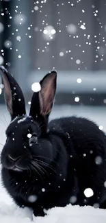 A black rabbit in the snow, perfect for a winter-themed wallpaper.