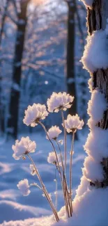 Snow-covered flowers in a serene winter forest.