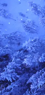 Snowy blue forest with frosty trees under a starry sky wallpaper.