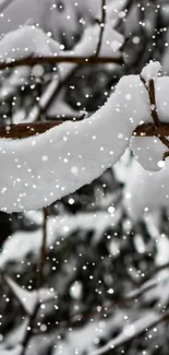 Snow-covered branches with serene winter backdrop.